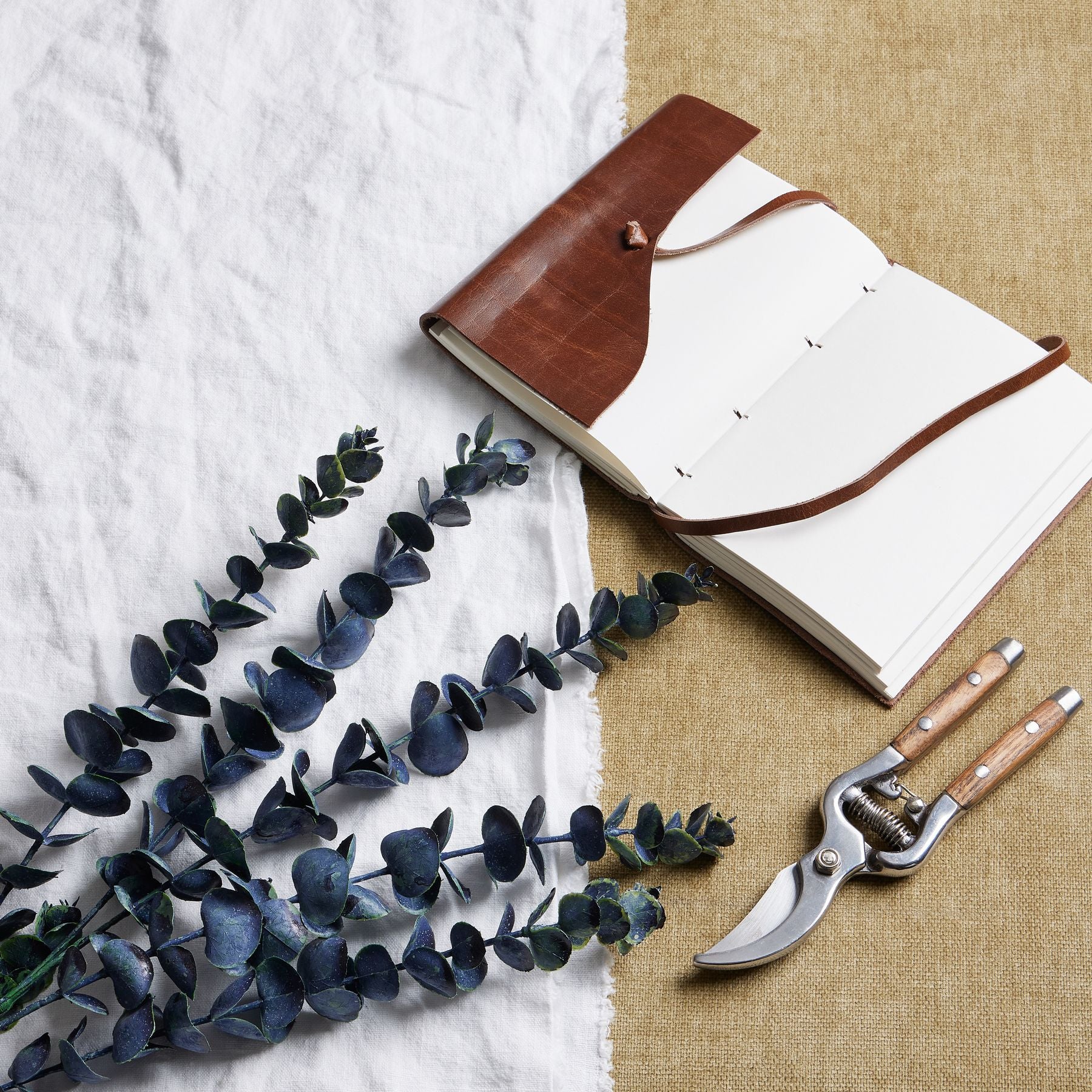 Large Blue Eucalyptus Stem_5021