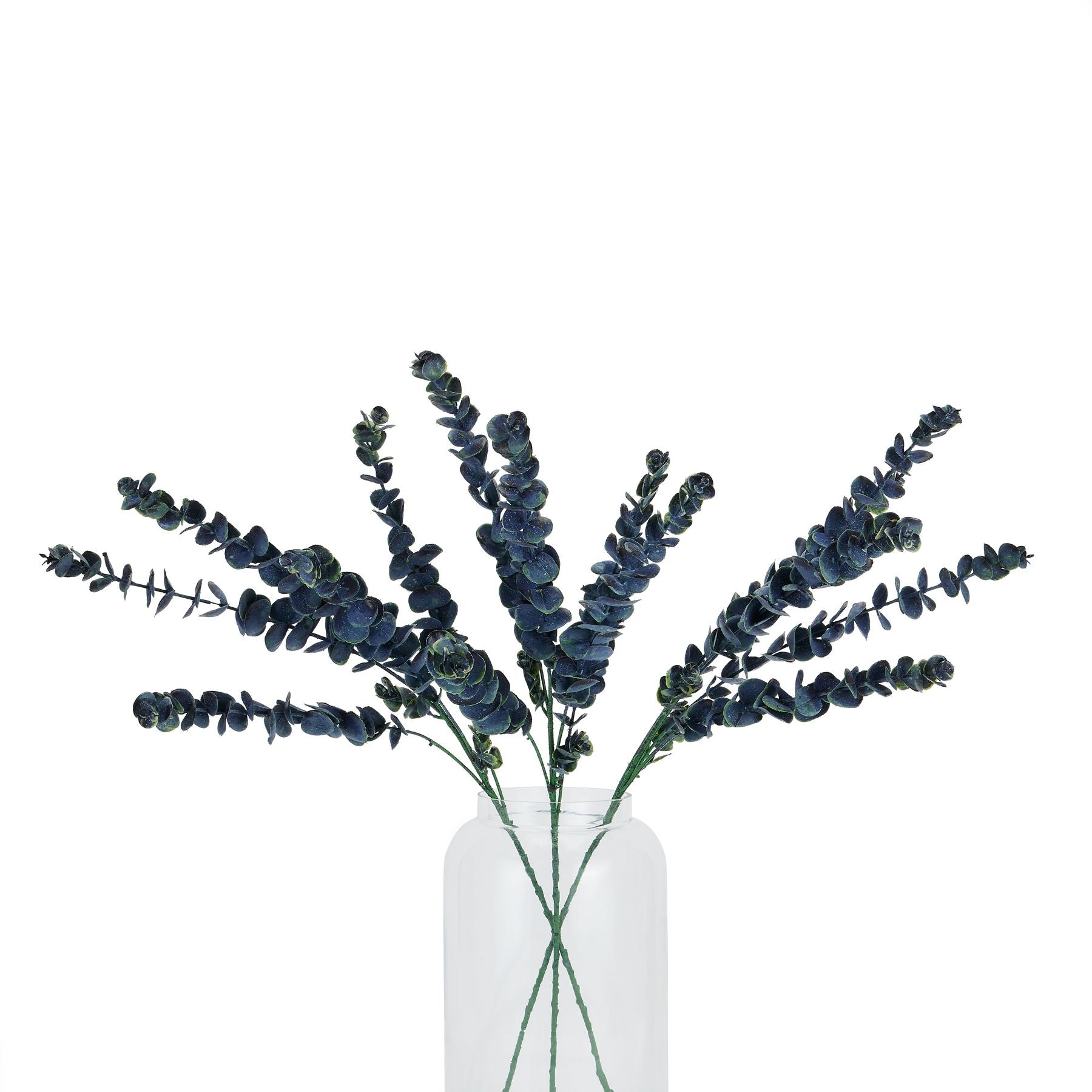 Large Blue Eucalyptus Stem_5024