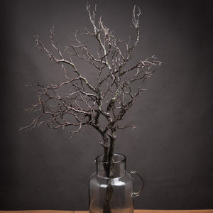 Large Branch Spray_1848