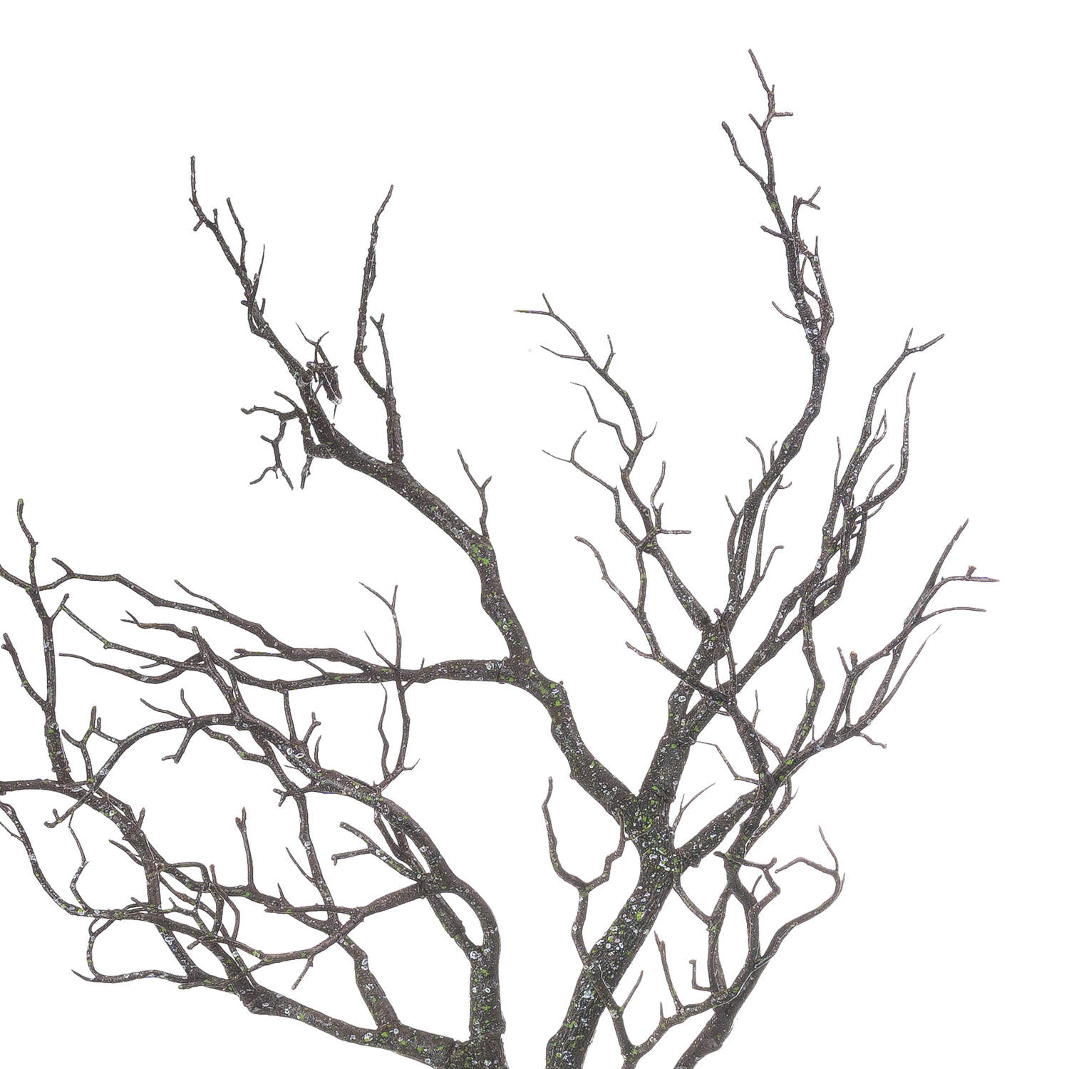 Large Branch Spray_1850