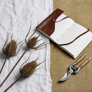 Large Brown Triple Teasle Stem_5025