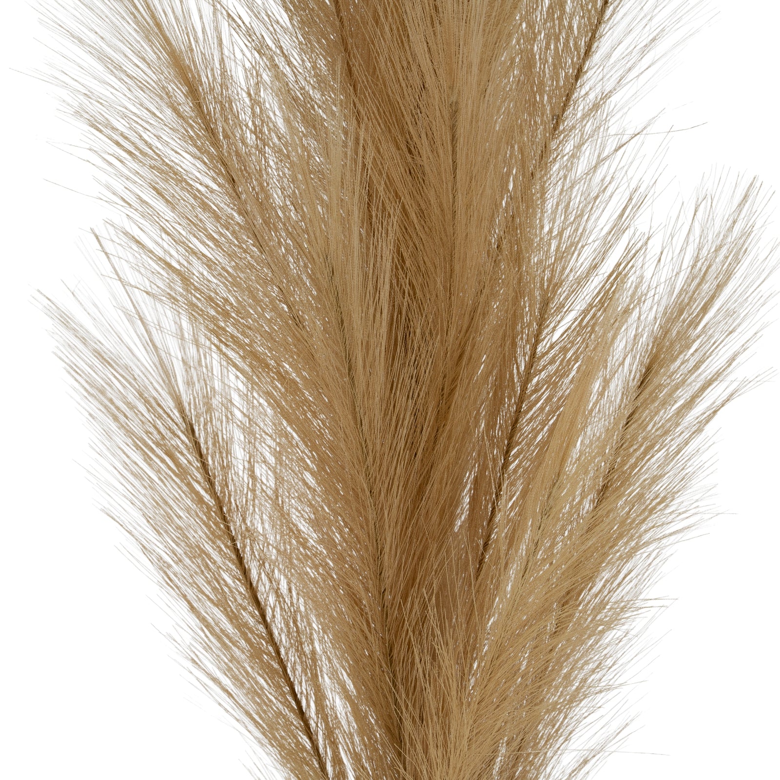 Large Faux Pampas Grass Stem_5042