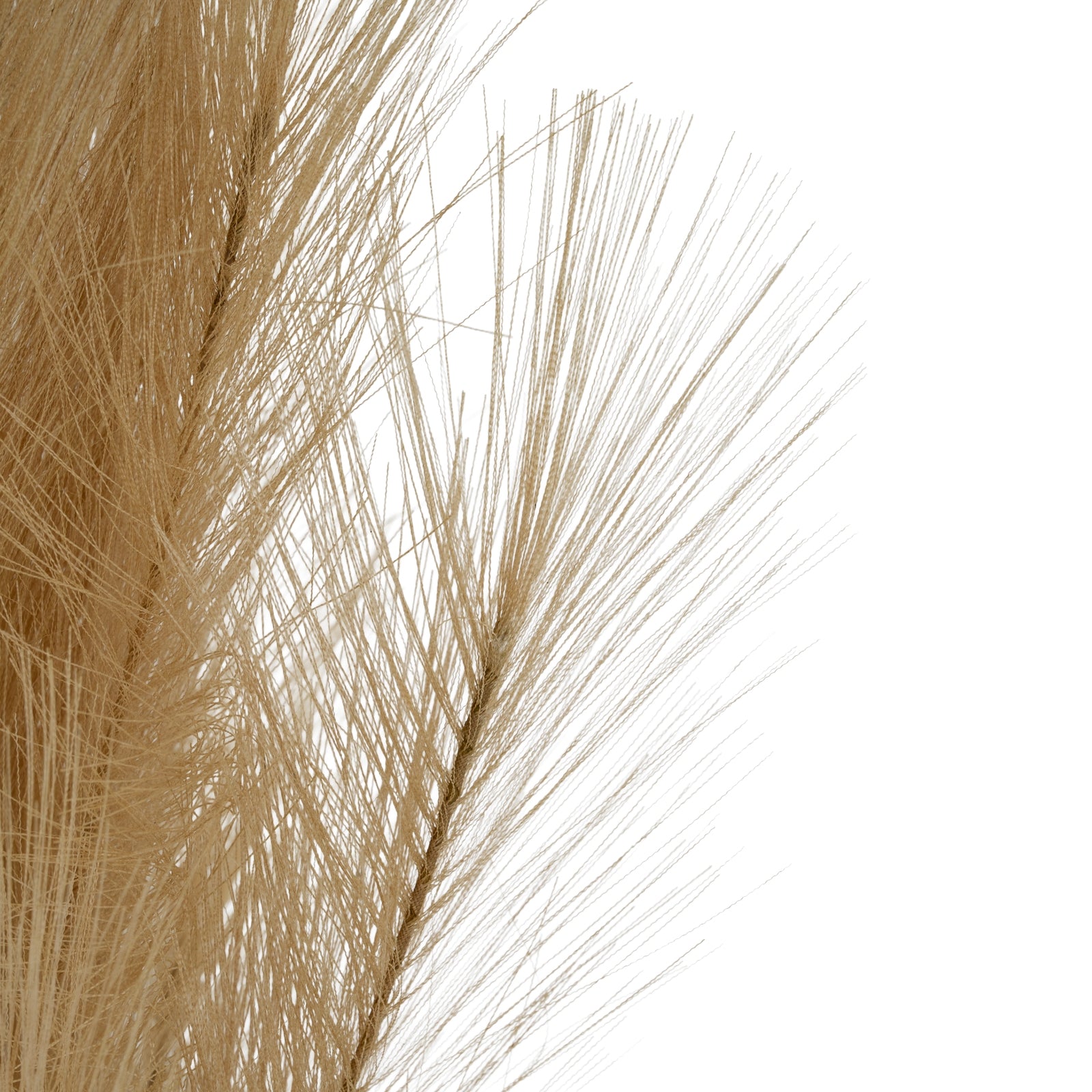 Large Faux Pampas Grass Stem_5043