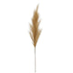 Large Faux Pampas Grass Stem_5041