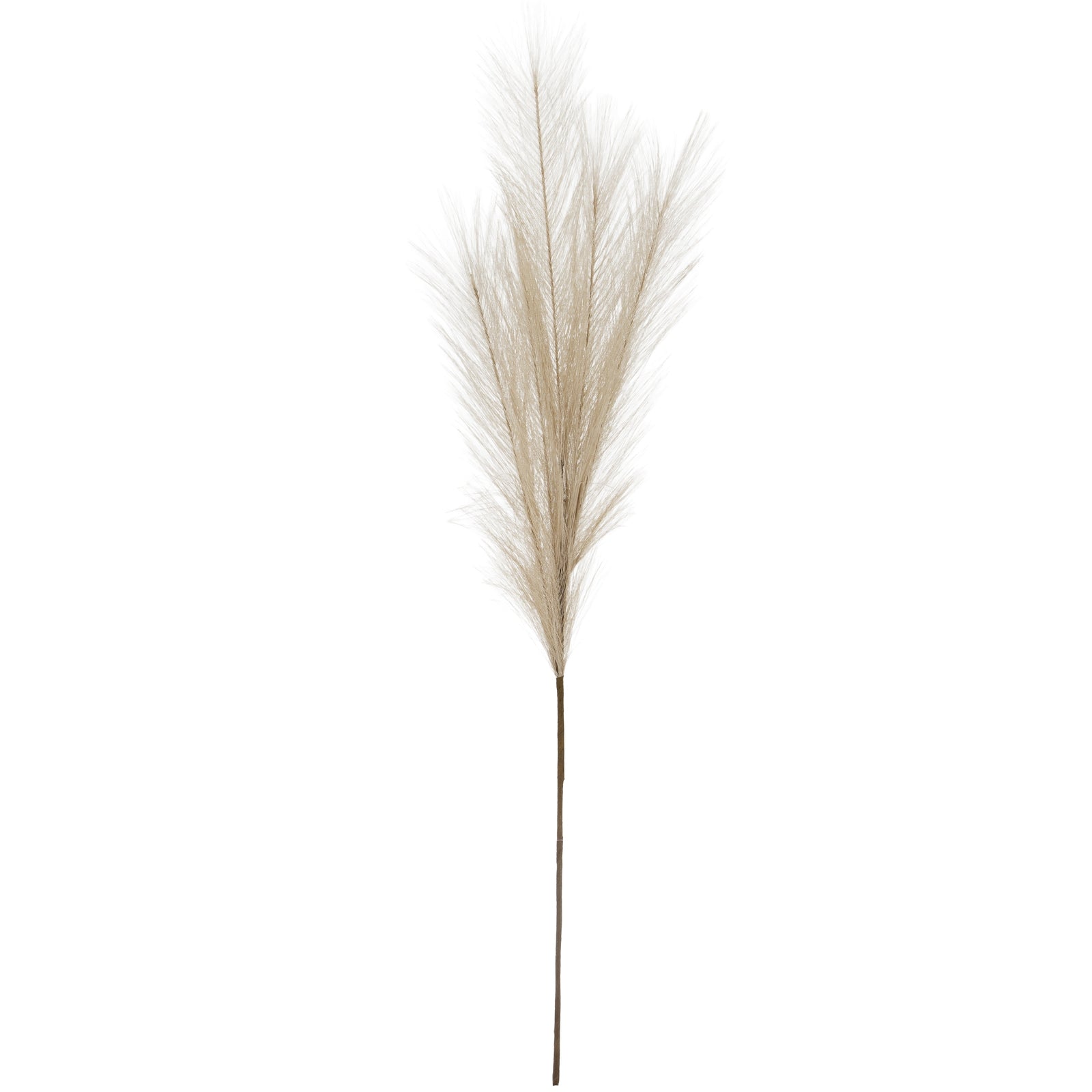 Bleached Faux Pampas Grass Stem_4420