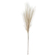 Bleached Faux Pampas Grass Stem_4420