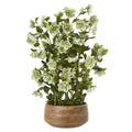 Large Green Hellebore in Taupe Pot_5053