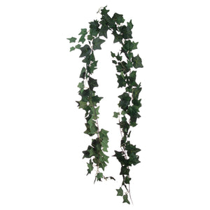 Ivy Garland_1808