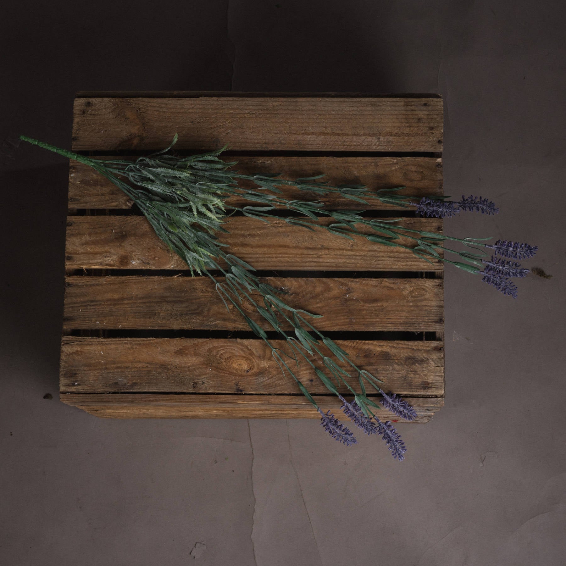 Lavender Spray_5073