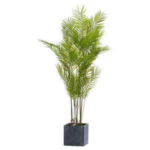 Large Paradise Potted Palm_5082