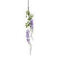 Large Purple Wisteria Spray_5095
