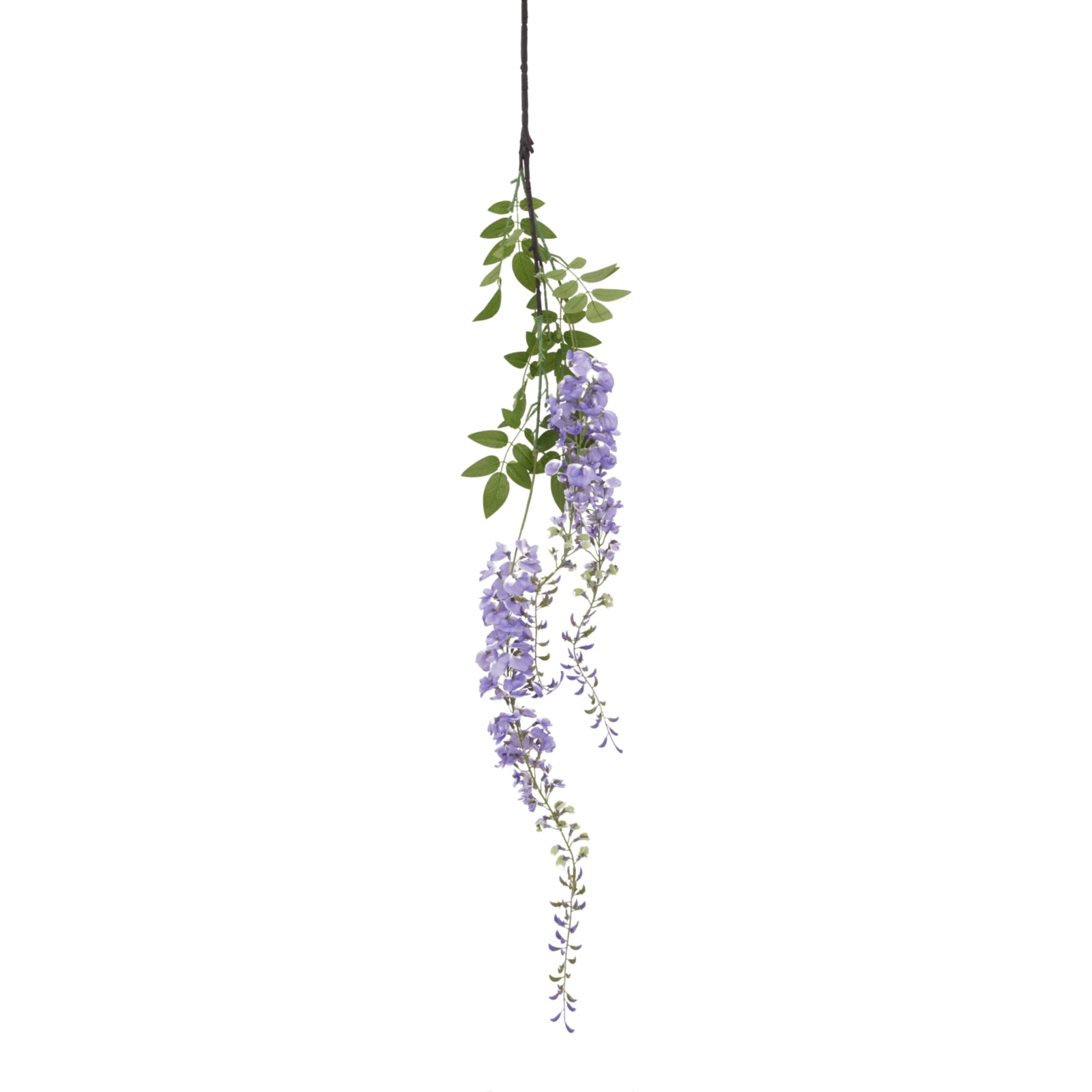 Large Purple Wisteria Spray_5095