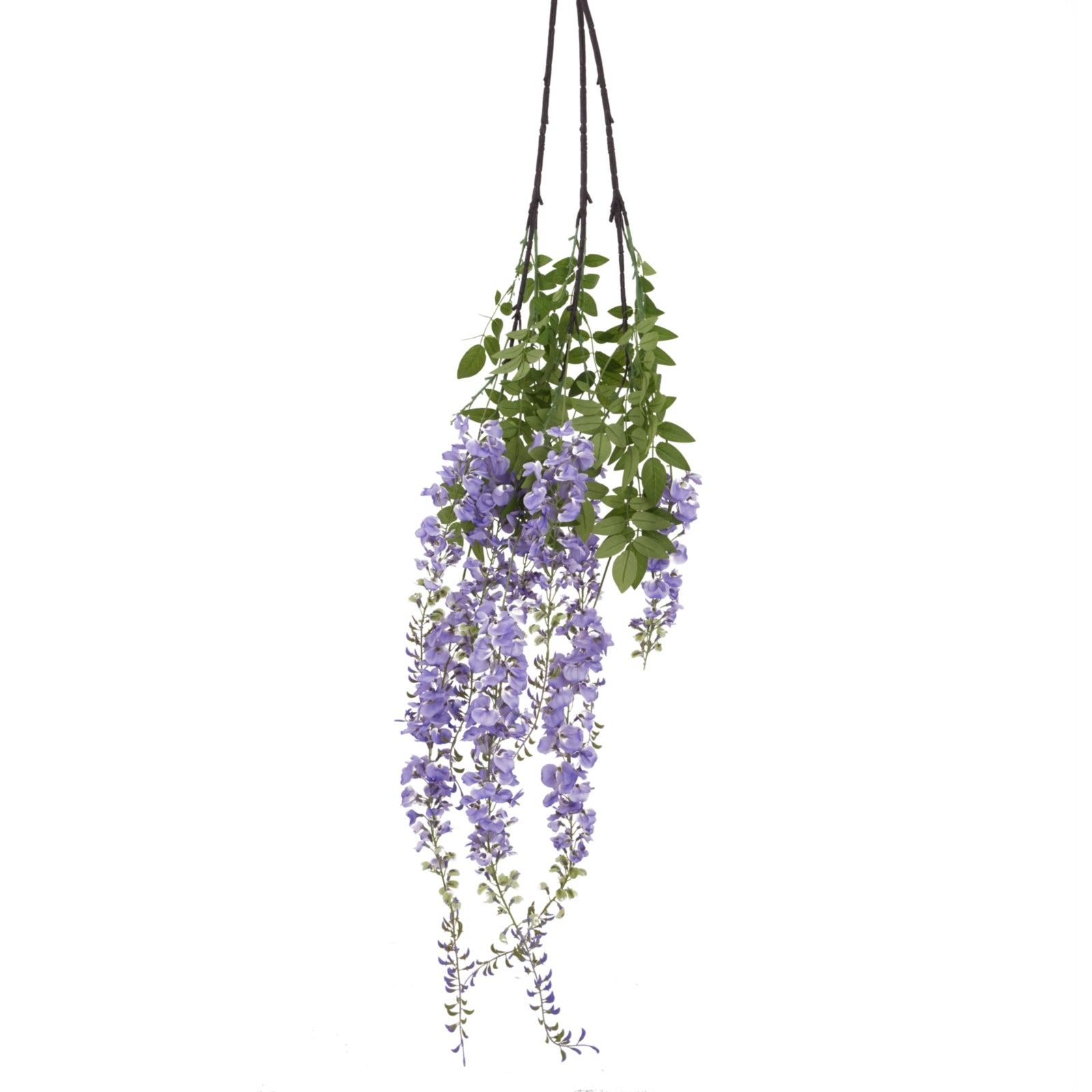 Large Purple Wisteria Spray_5096