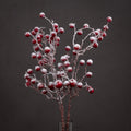 Large Red Festive Berry_1931