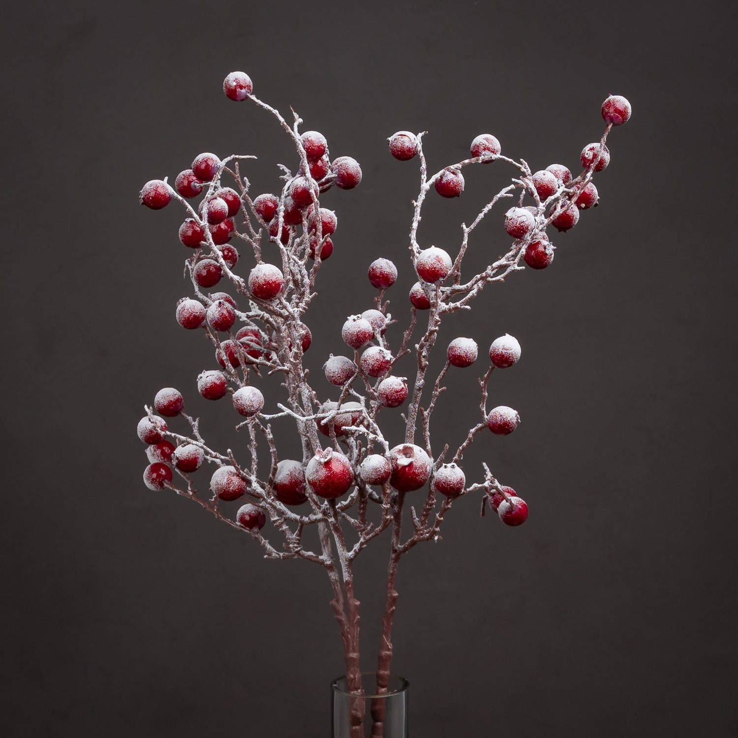 Large Red Festive Berry_1931