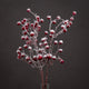 Large Red Festive Berry_1931