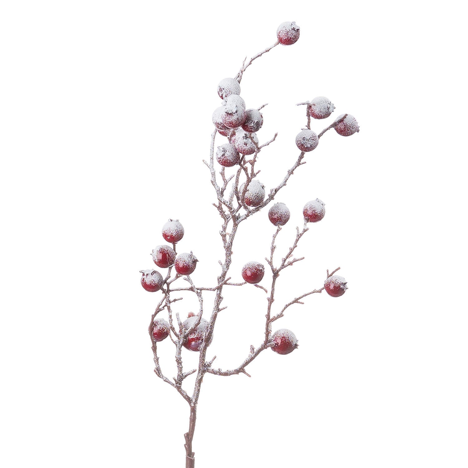 Large Red Festive Berry_1933
