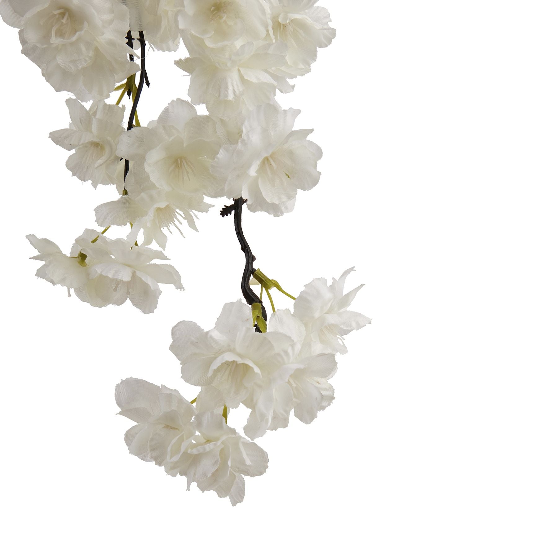 Large White Cherry Blossom Stem_5113
