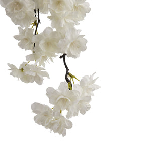 Large White Cherry Blossom Stem_5113