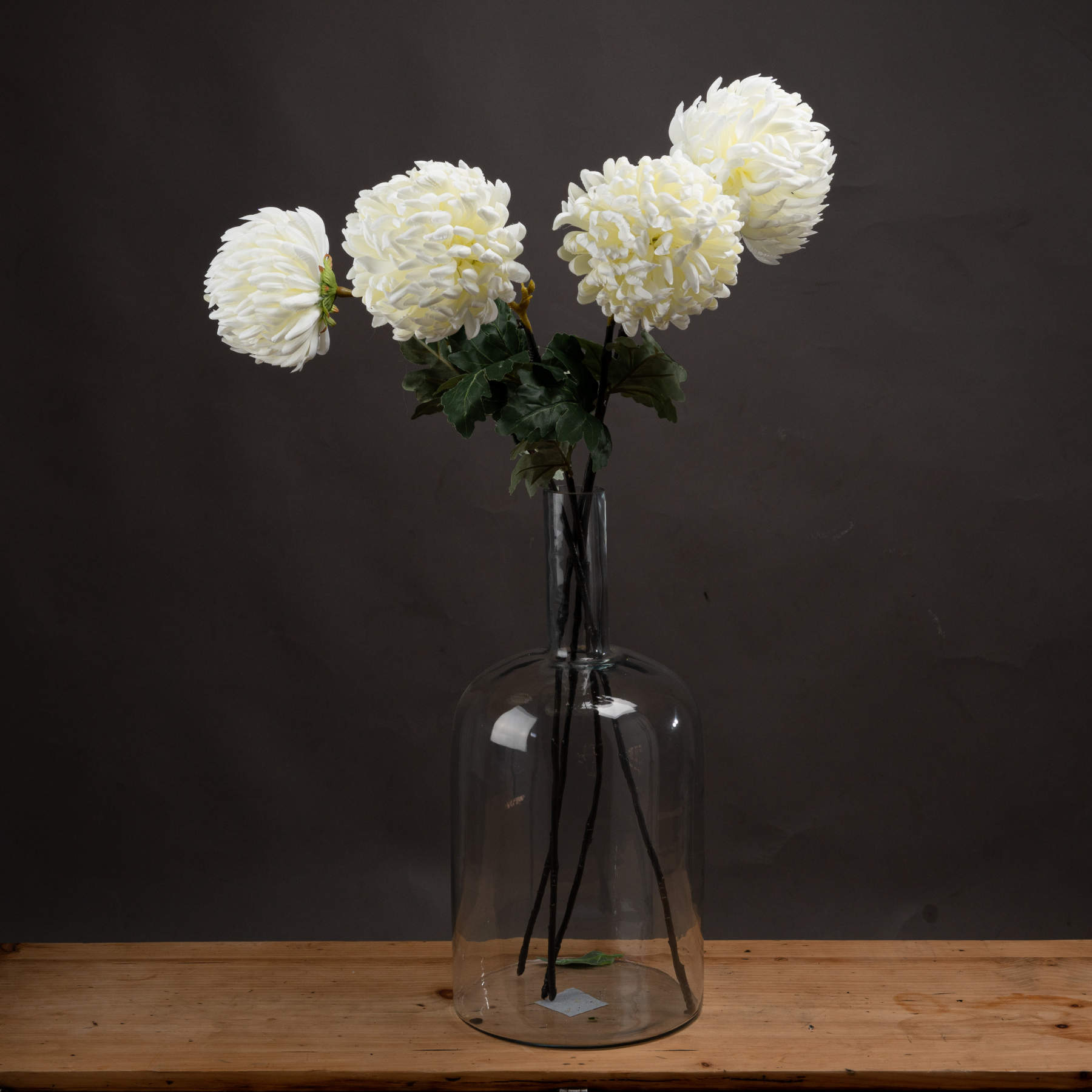 White Chrysanthemum_5114