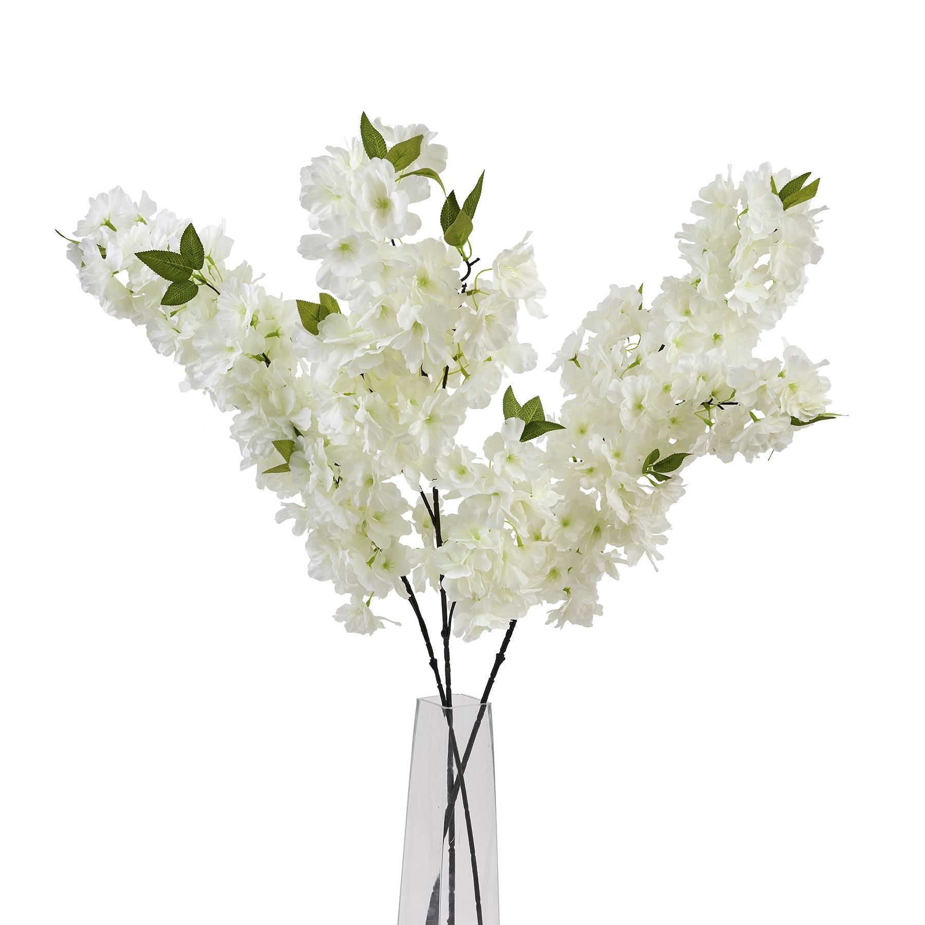 Large White Full Cherry Blossom Stem_5123