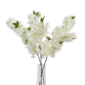 Large White Full Cherry Blossom Stem_5123