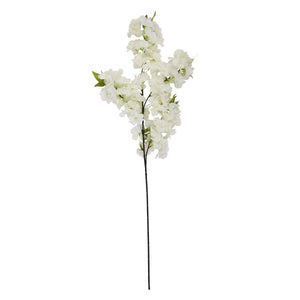 Large White Full Cherry Blossom Stem_5122