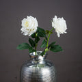 Large White Garden Rose [cid:20483]