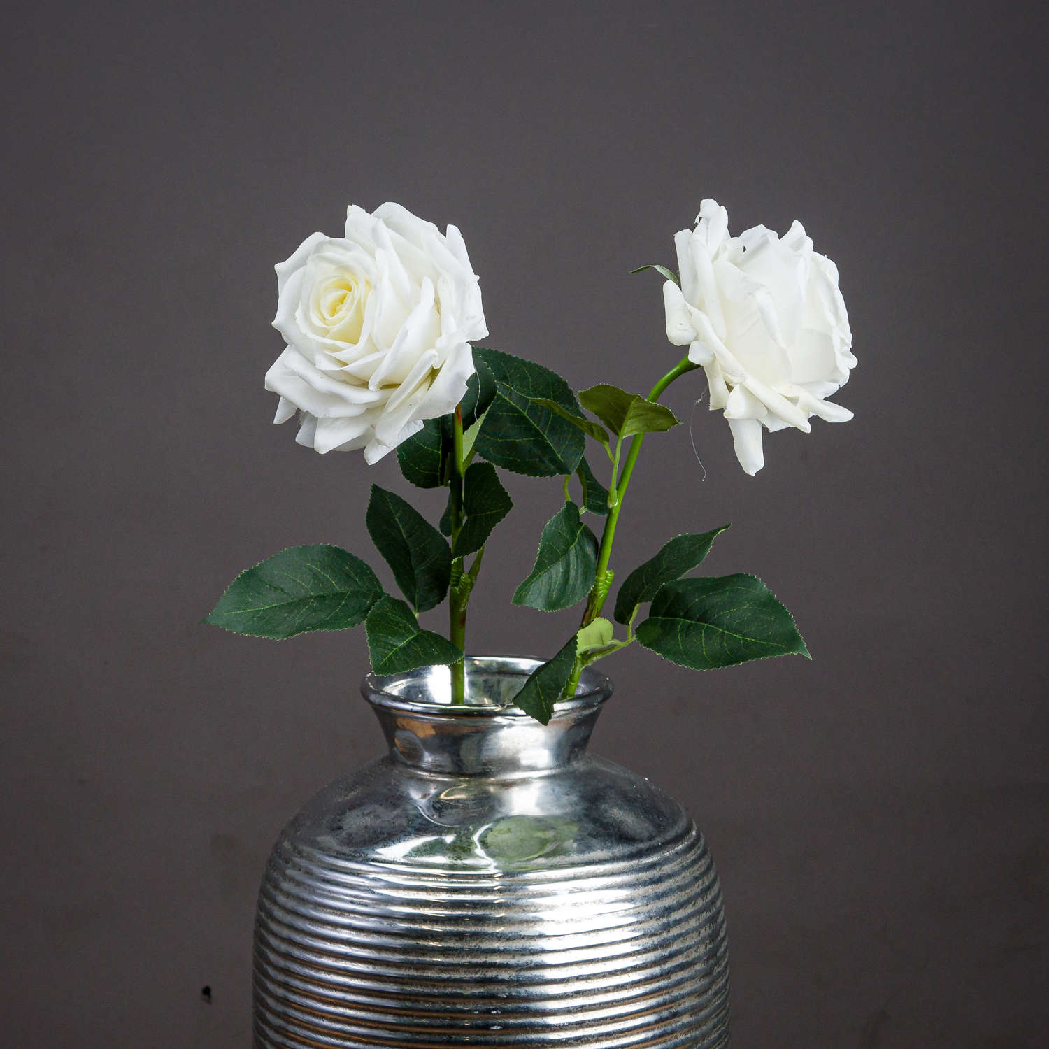 Large White Garden Rose [cid:20483]
