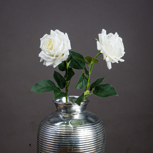 Large White Garden Rose [cid:20483]