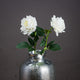 Large White Garden Rose [cid:20483]