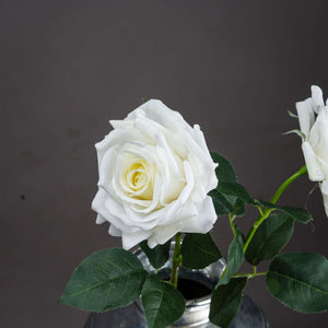 Large White Garden Rose [cid:20483-a]