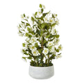 Large White Hellebore In Grey Pot_5128