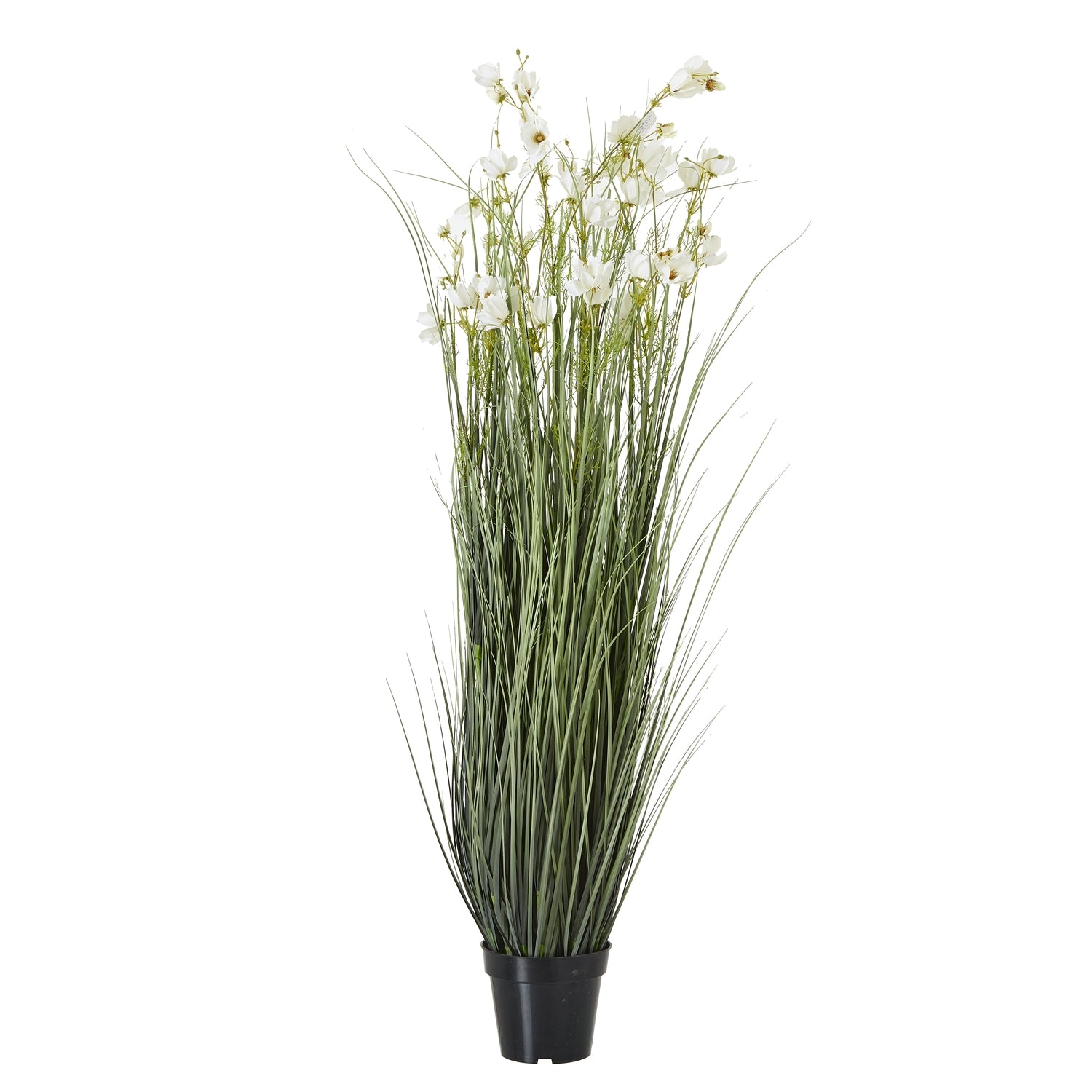 Large White Meadow Plant In Pot_5137