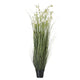 Large White Meadow Plant In Pot_5137