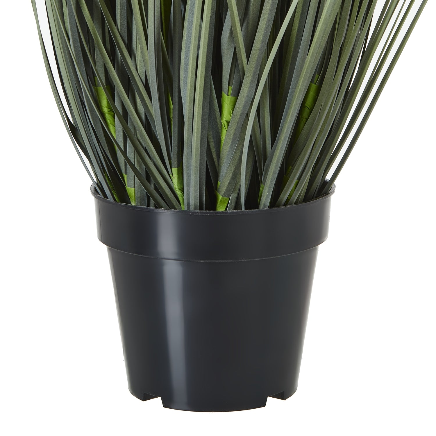 Large White Meadow Plant In Pot_5140