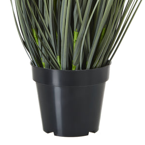 Large White Meadow Plant In Pot_5140