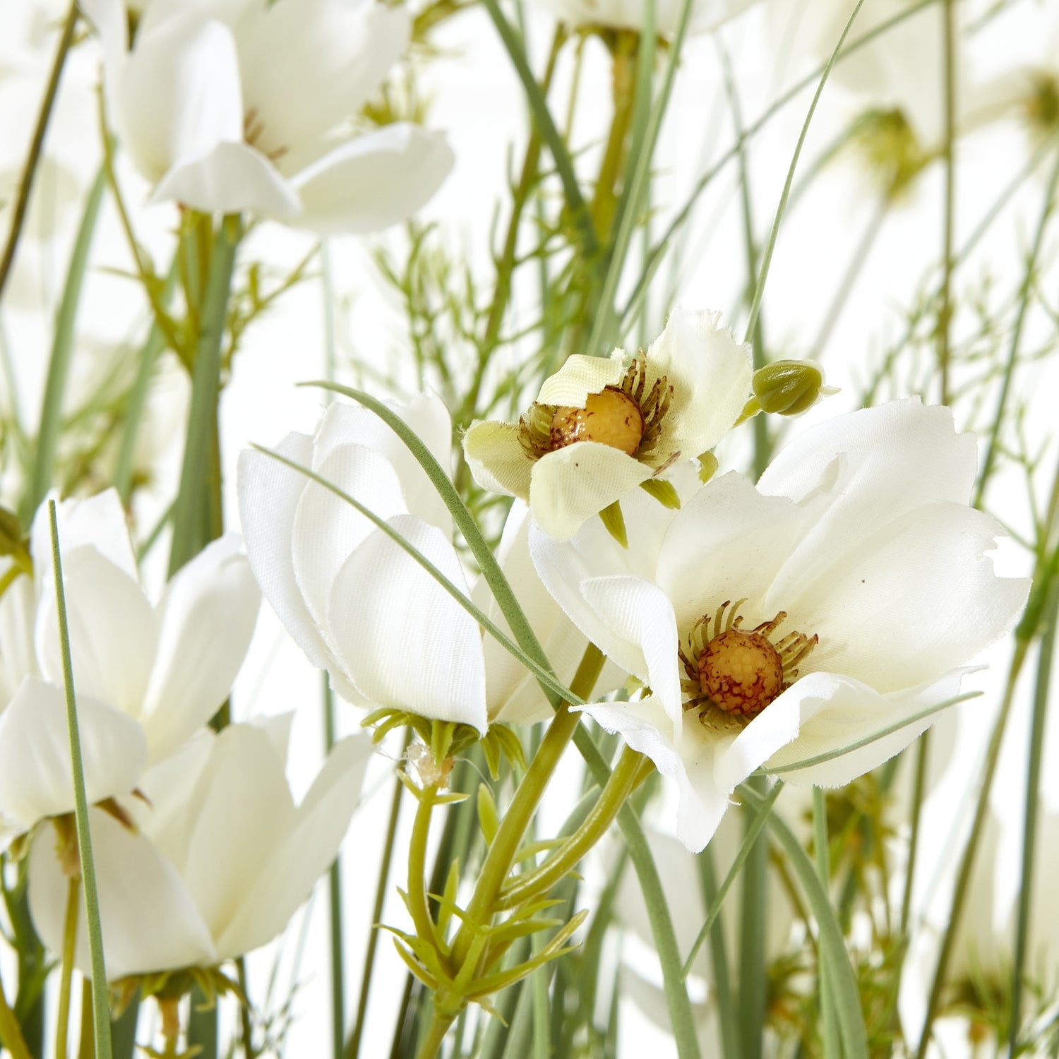 Large White Meadow Plant In Pot_5138
