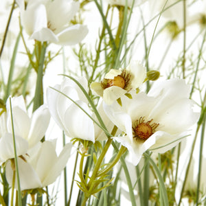 Large White Meadow Plant In Pot_5138