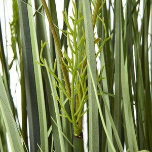 Large White Meadow Plant In Pot_5139