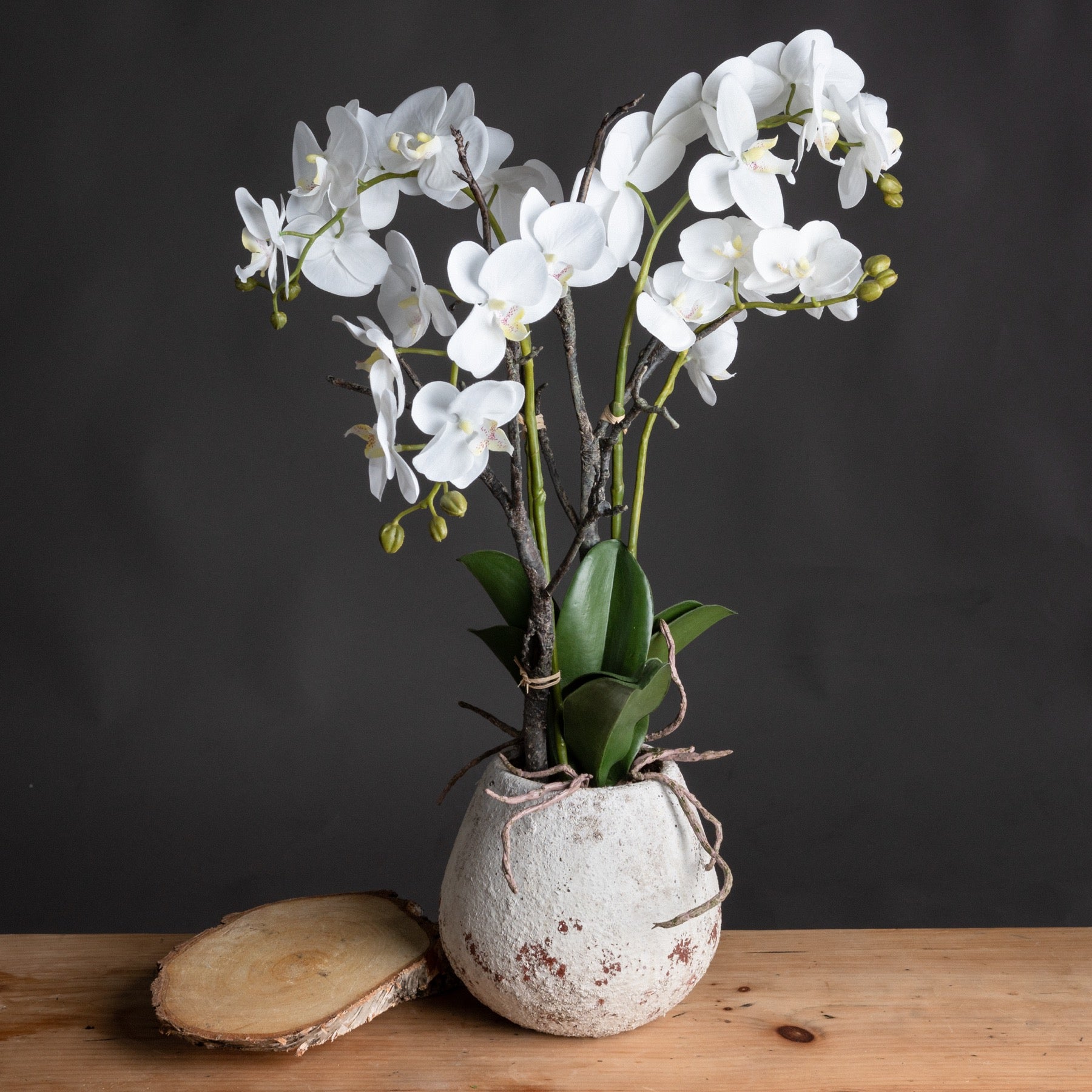 White Orchid In Stone Pot [cid:19956]