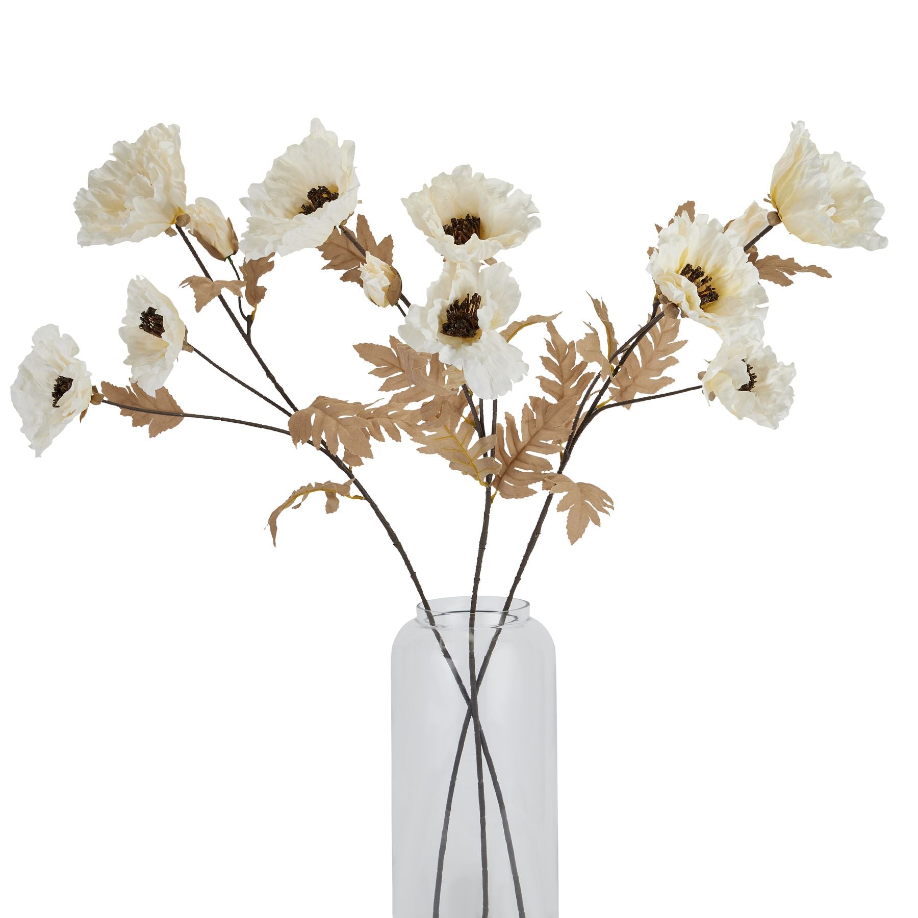 Large White Poppy Stem_5167