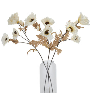 Large White Poppy Stem_5167