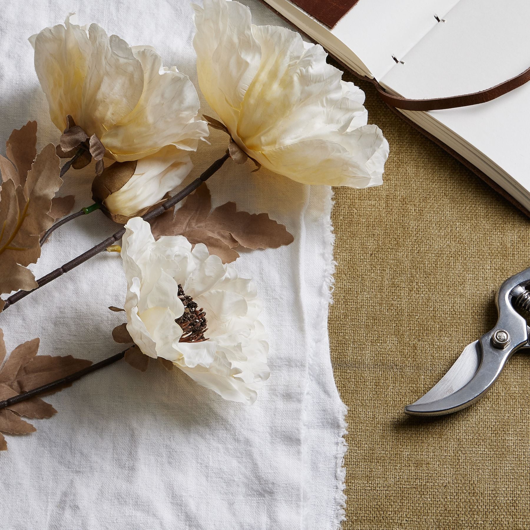 Large White Poppy Stem_5164