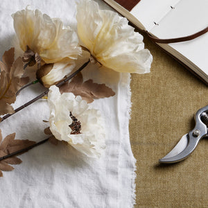 Large White Poppy Stem_5164