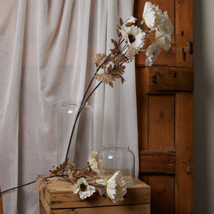 Large White Poppy Stem_5165