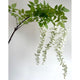 Large White Wisteria Spray_5175