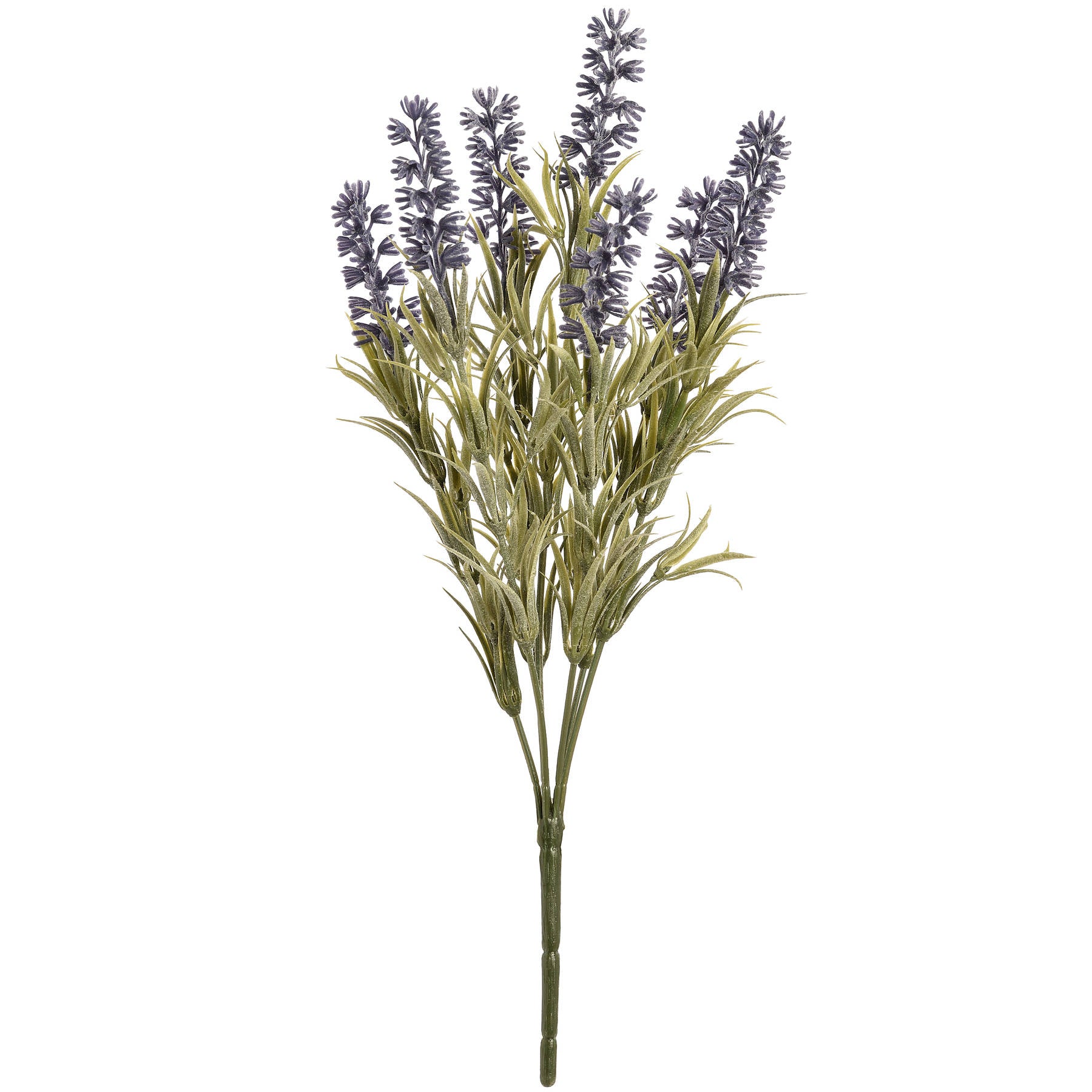 Lavender Spray_5537
