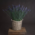 Lavender Spray_5074