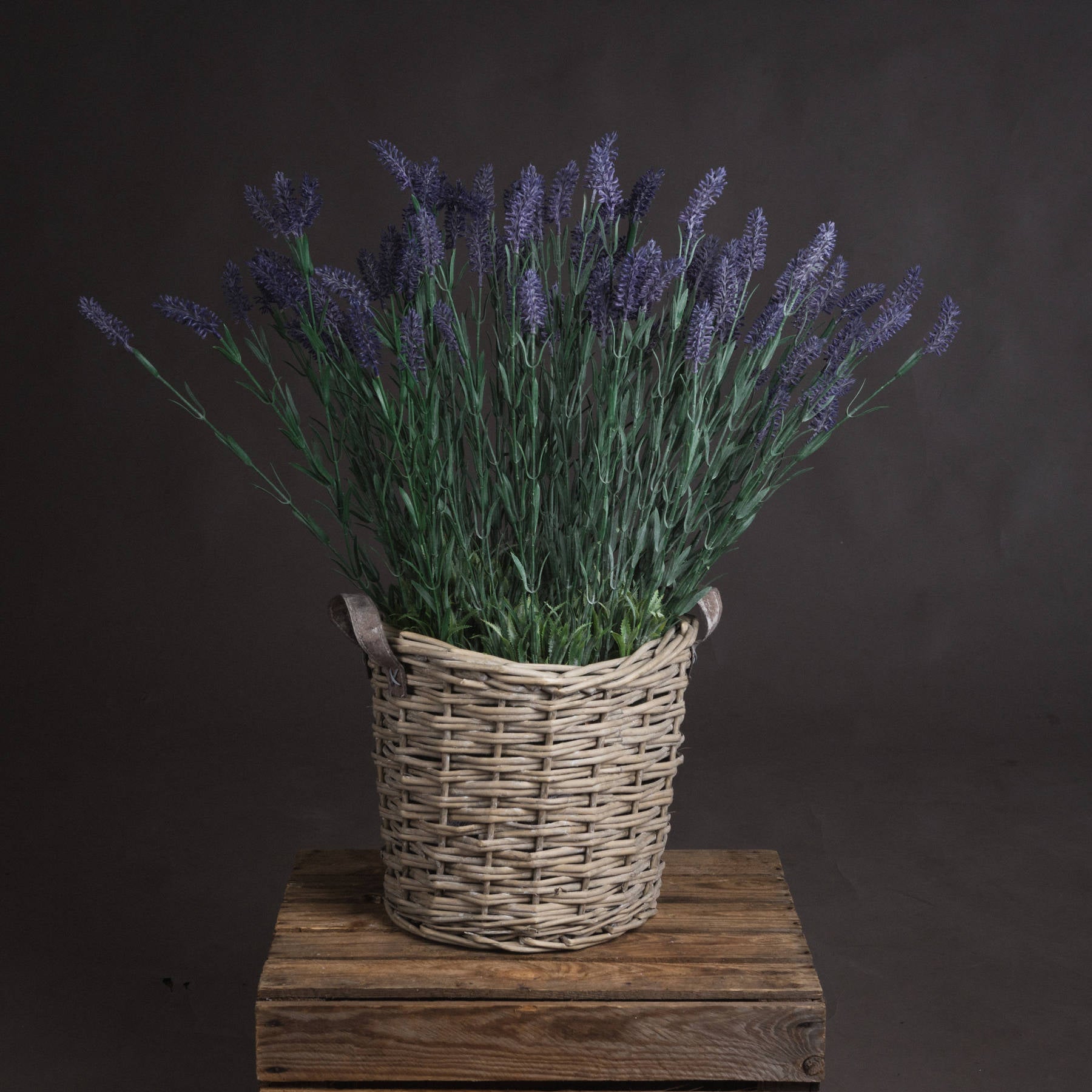 Lavender Spray_5074